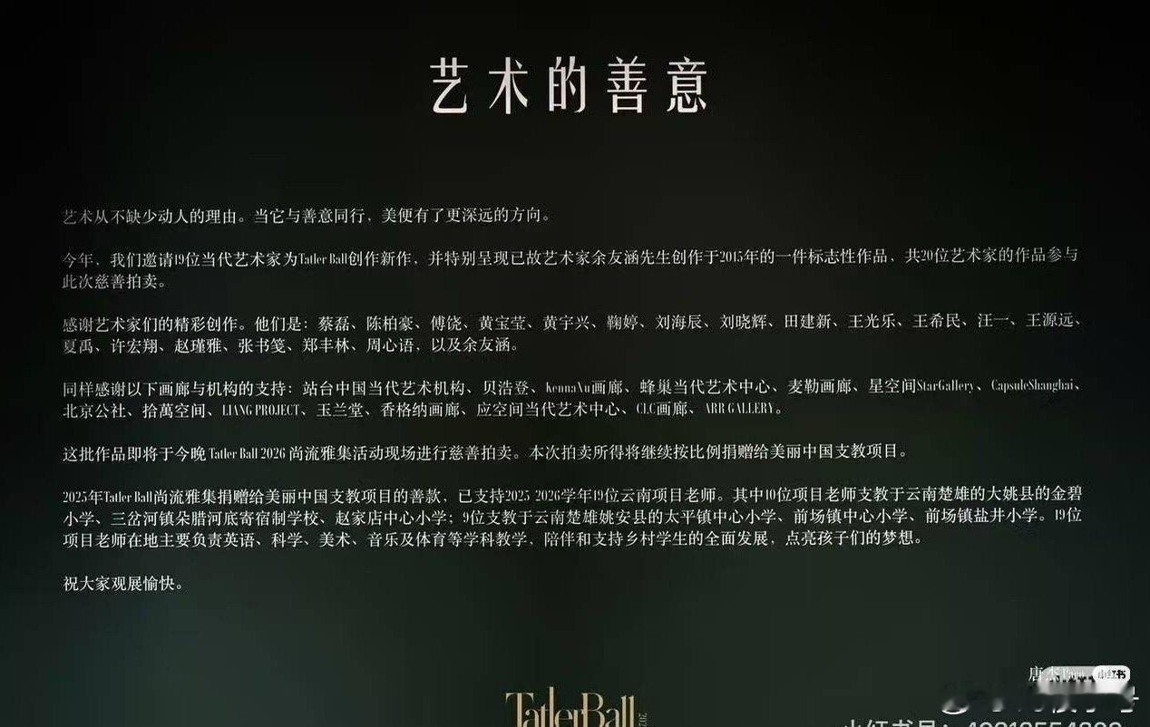 等于说是丁禹兮一晚上捐了87万做慈善支教对吧范思哲晚宴出图 ​​​