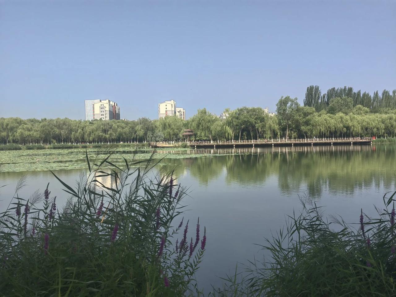 刚刚，7月26日凌晨1：03，银川金凤区，我们两口子被地震摇醒了，床来回晃，很厉