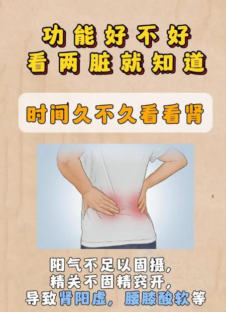 男性状态好不好，看两脏就知道