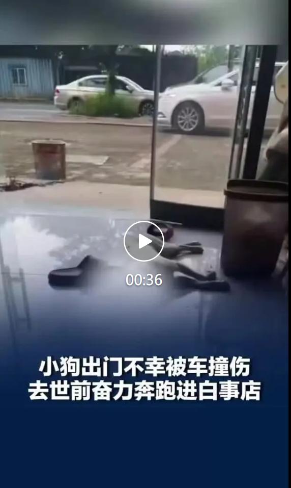 7 月 23 日，潇湘晨报晨视频记者采访安徽当涂县一家白事店工作人员，还原一件让