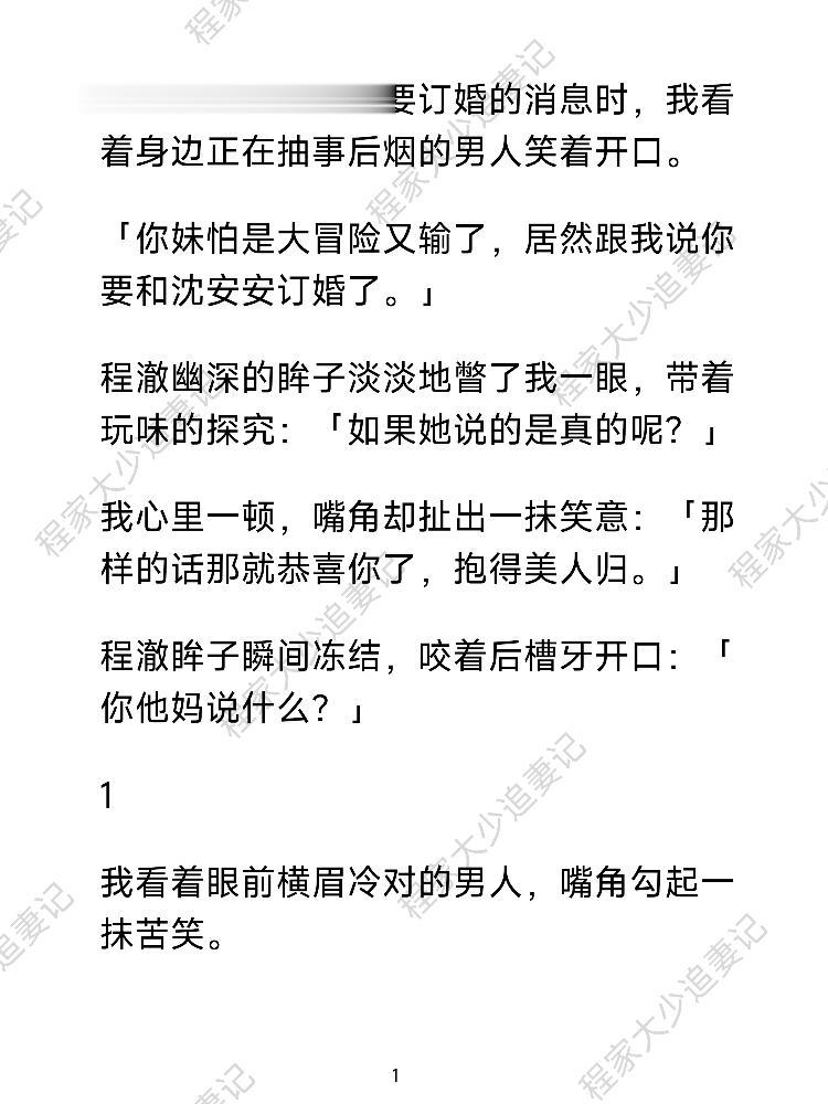 程家大少追妻记
