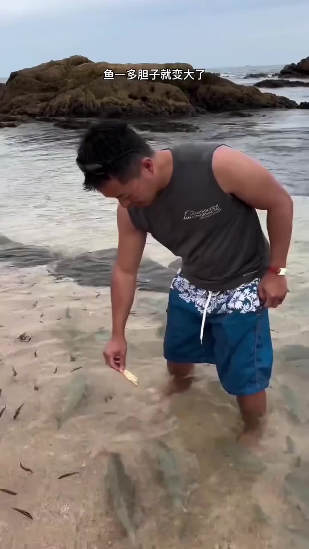 钓鱼的乐趣只有钓鱼人才懂 赶海抓到宝 原来抓鱼也可以很轻松