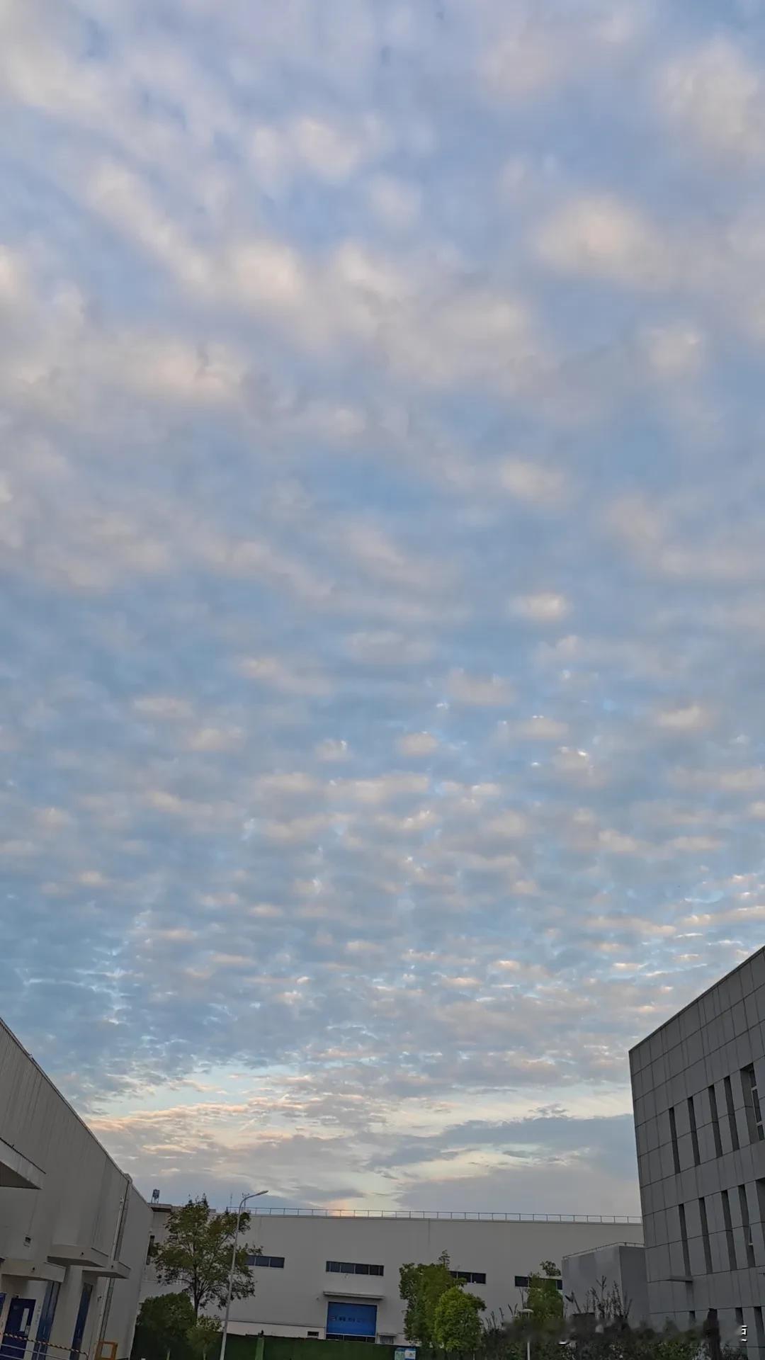 今天傍晚上海的天空，这云☁️是快要下雨了吗？