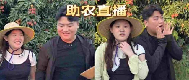 奥运冠军张家齐突然爆火，败光父母仅剩的体面，这是节目效果？