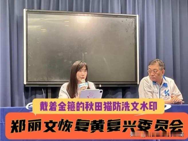 郑丽文说到做到！全面兑现竞选承诺，黄复兴恢复为国民党第八大部门，蓝营重回深蓝路线