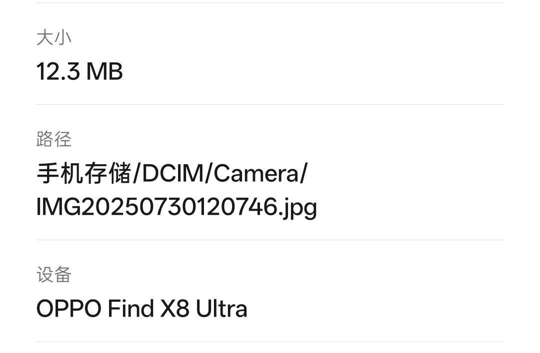 一个热知识：虽然都是 LivePhoto，ColorOS 一张的大小大概是 iO