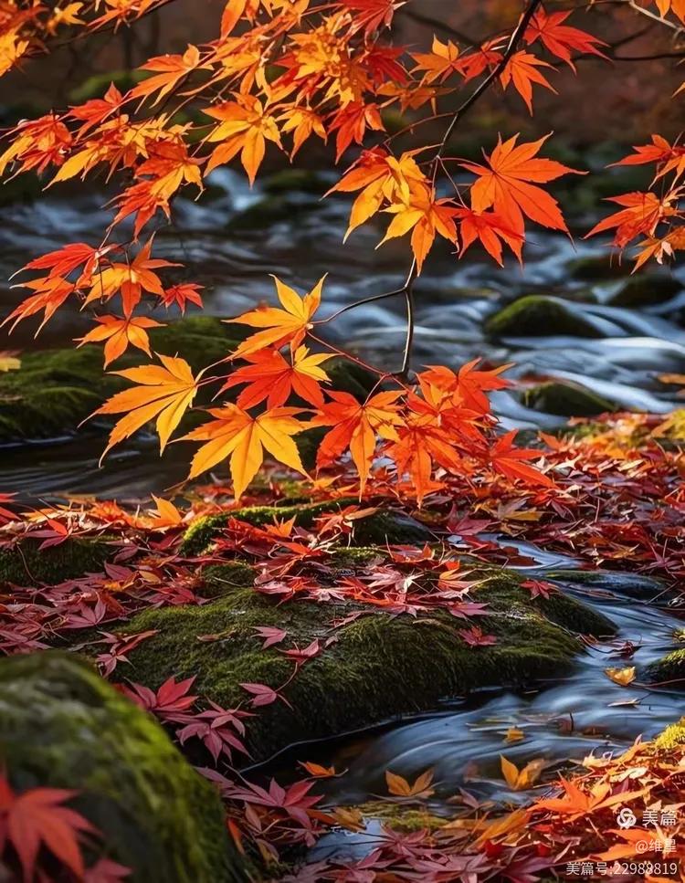 赏析：这幅对联的下联“玉露凝寒荻花摇”，以玉露凝寒描绘出秋日的清冷氛围，荻花摇曳