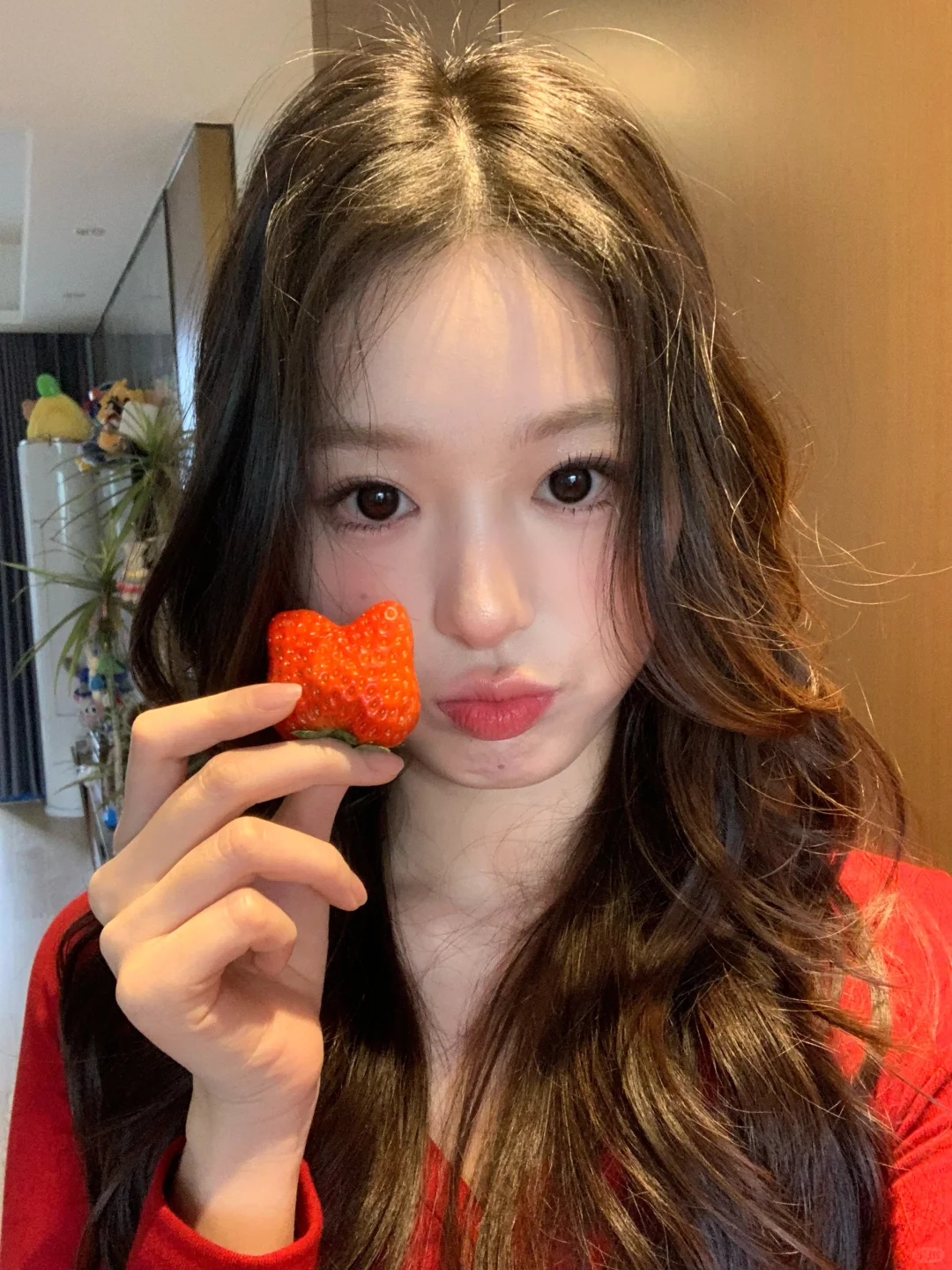 小兔子草莓🍓