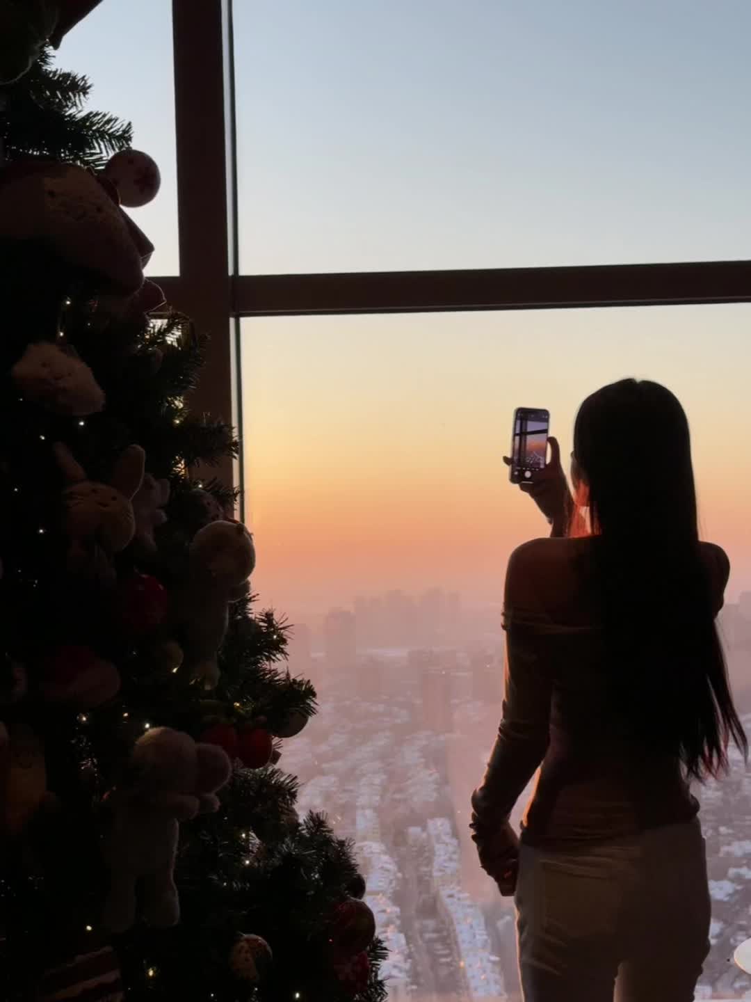 🎄 • ᴥ.-🎄