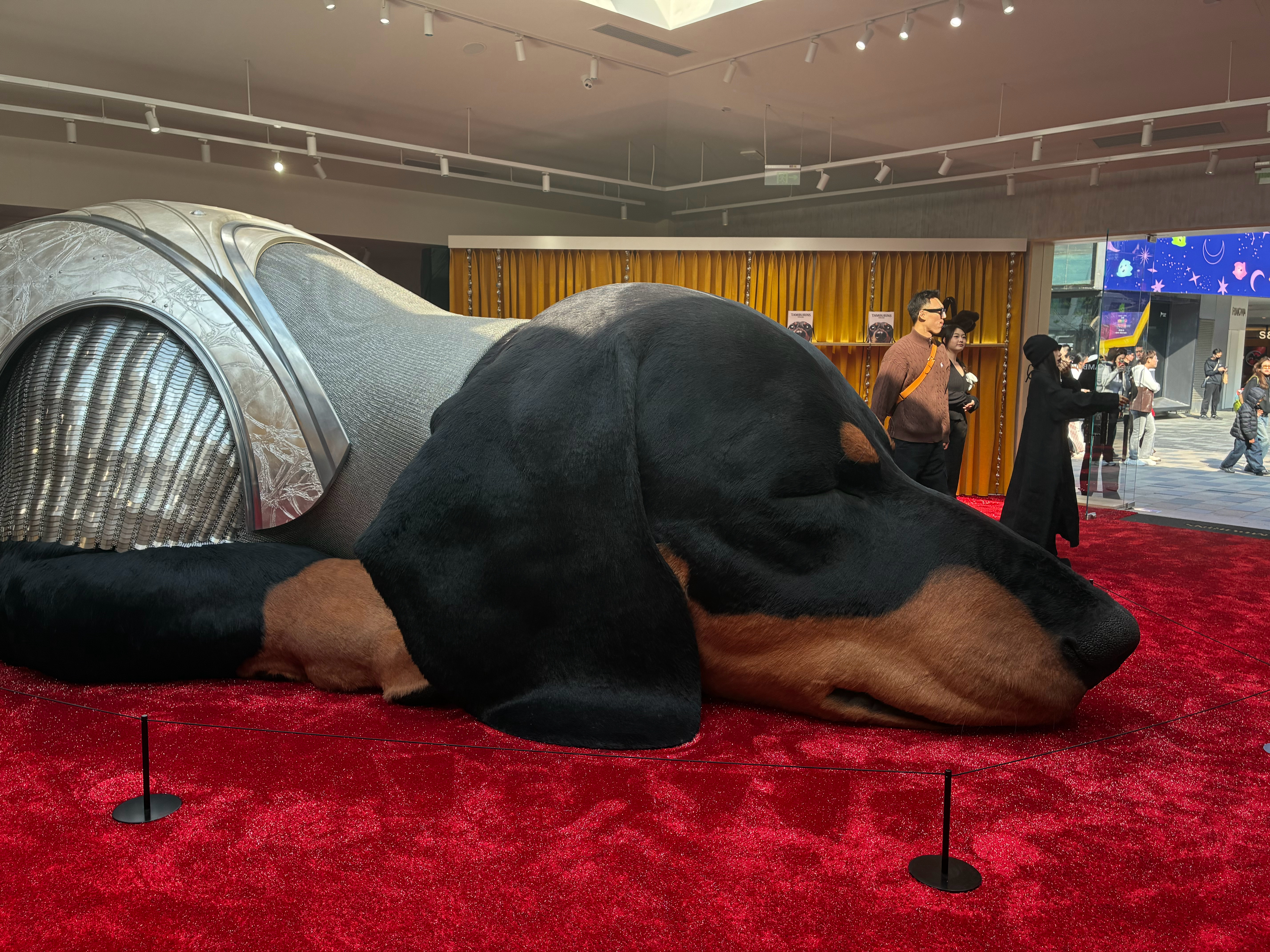 好大的狗！还能喘气！ 北京·三里屯太古里