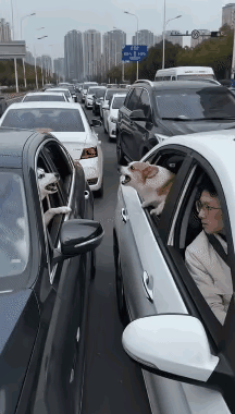 好有大姐大的风范～🤦‍♂️