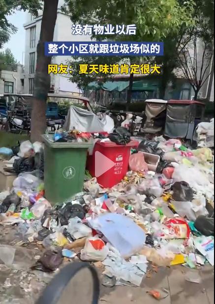 河南一小区没物业后遍地垃圾。
可见这个小区的业主，公共素质多差！
就不能合伙凑钱