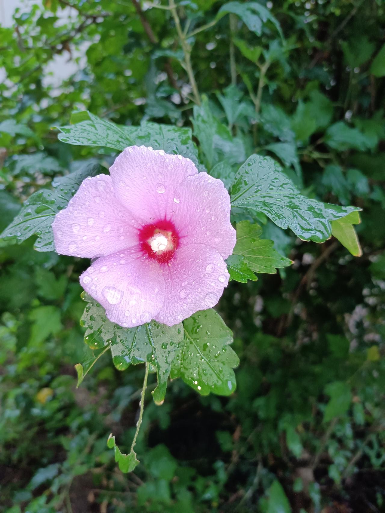 @豆包 帮我点评