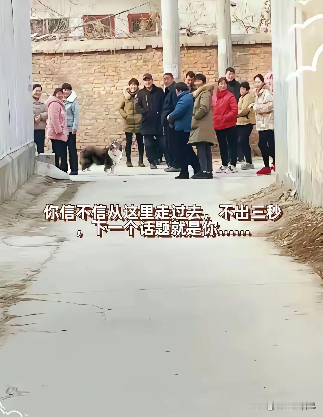 张家长，[灵光一闪]李家短，[呲牙]三个

鼻子六个眼[捂脸]，这就是大多

数