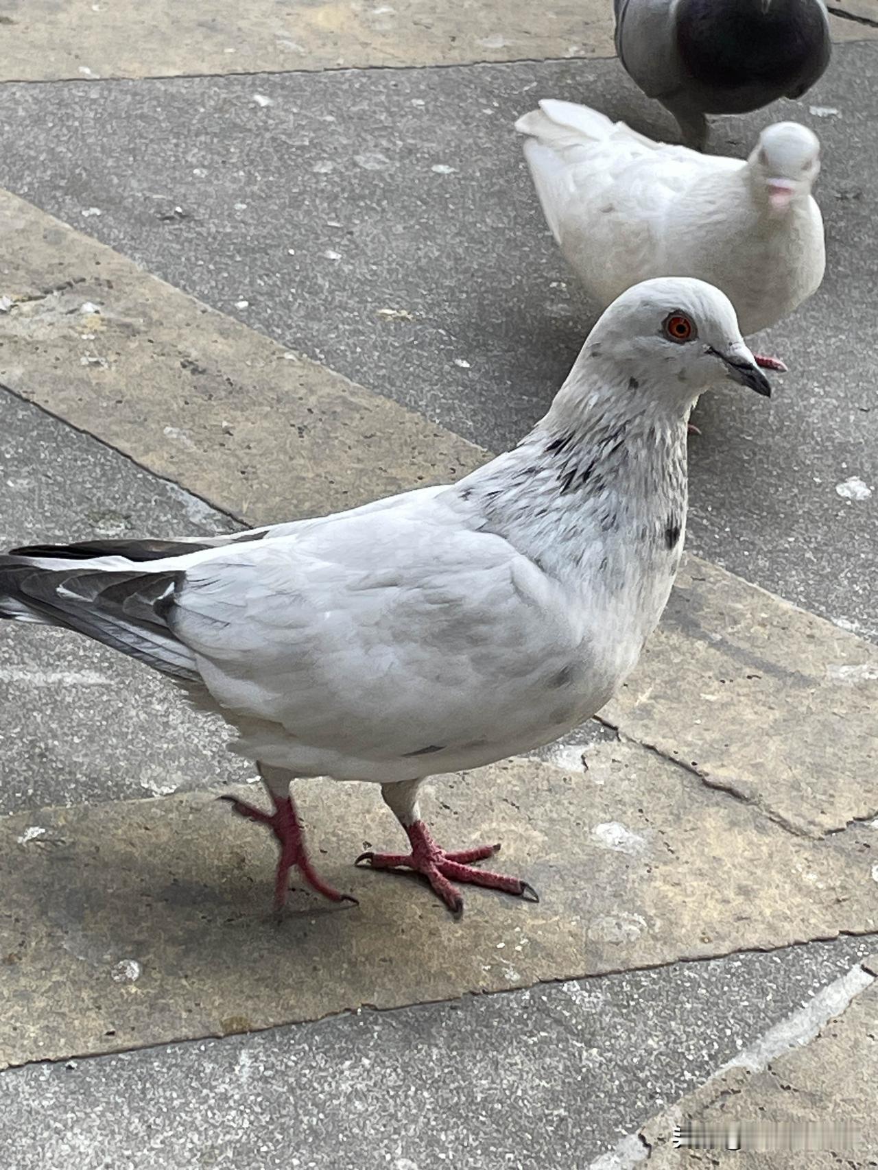 你低头看路，光正丈量你的高度。