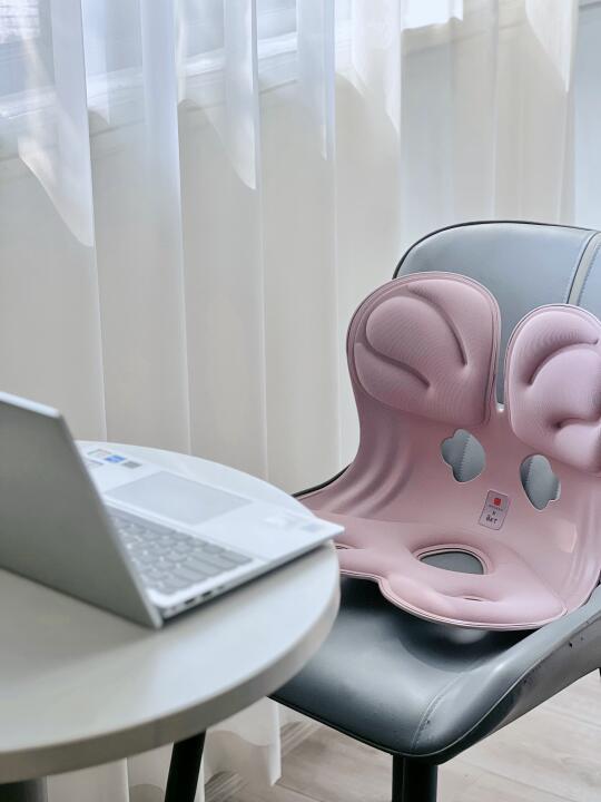 我好像知道为啥都用这个护腰椅了..