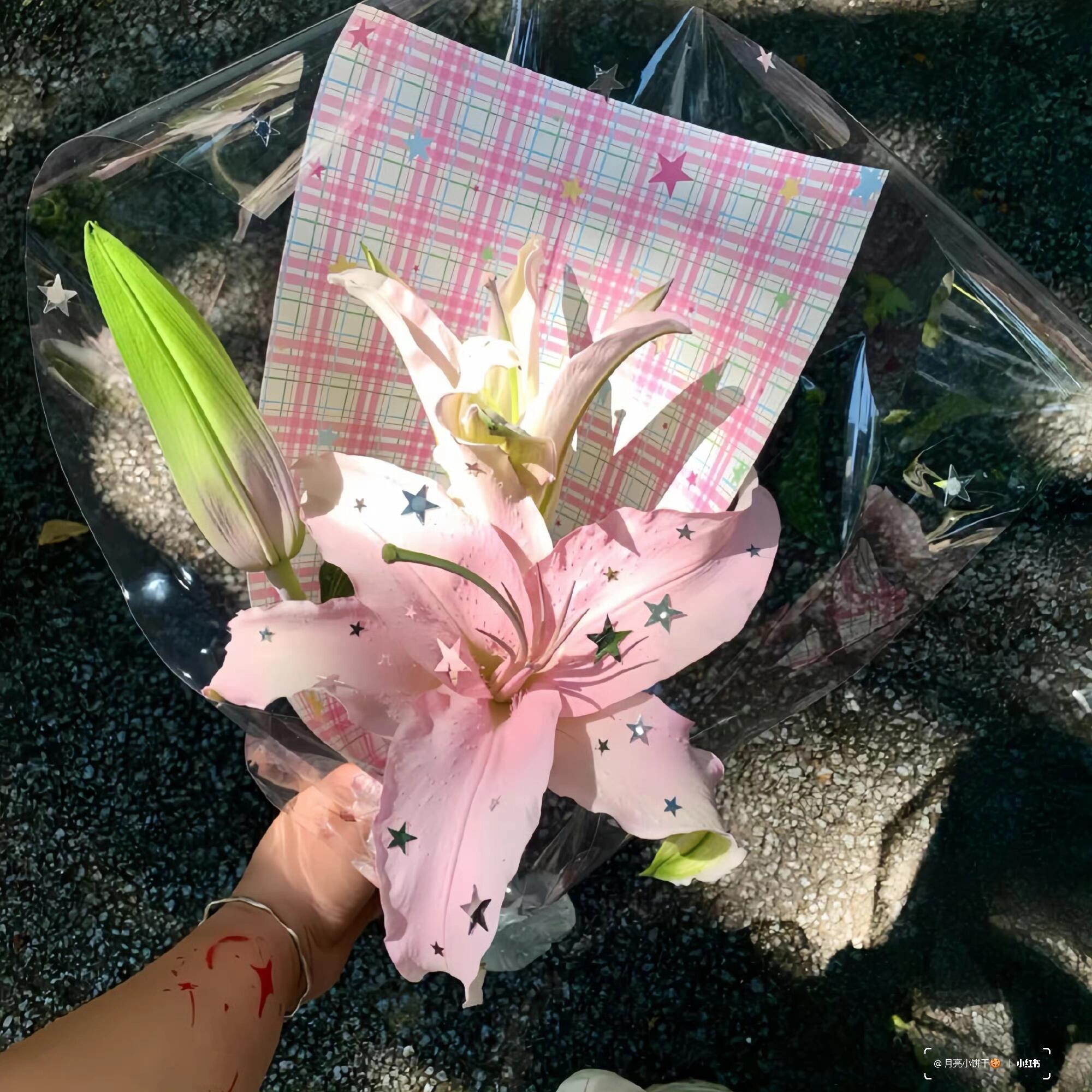 小众𝗪𝗲𝗰𝗵𝗮𝘁氛围感背景图 .ᐟ‪.ᐟ 盛夏壁纸大放送动漫仲夏狂欢