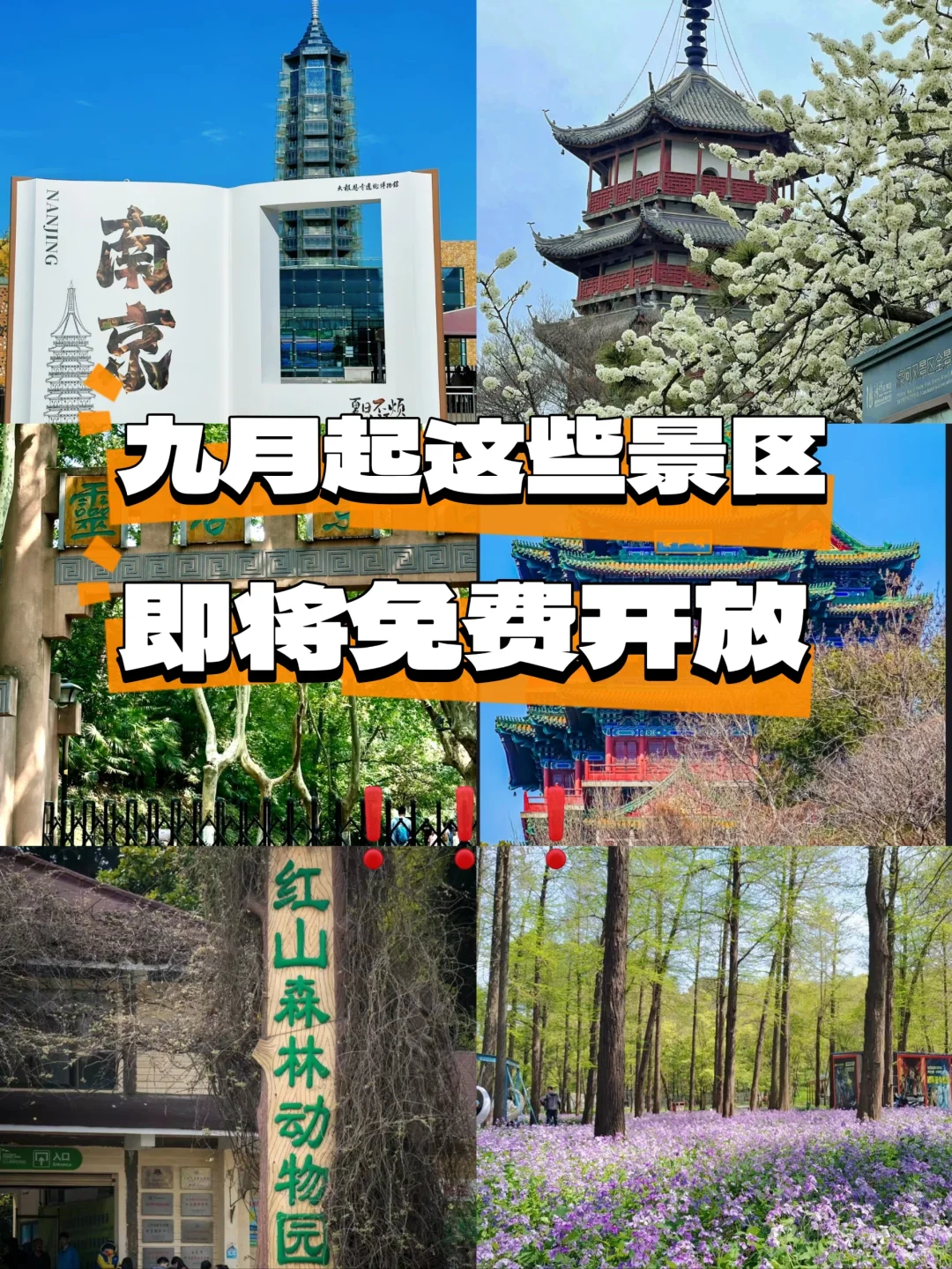 什么！南京这些景区免门票了⁉️