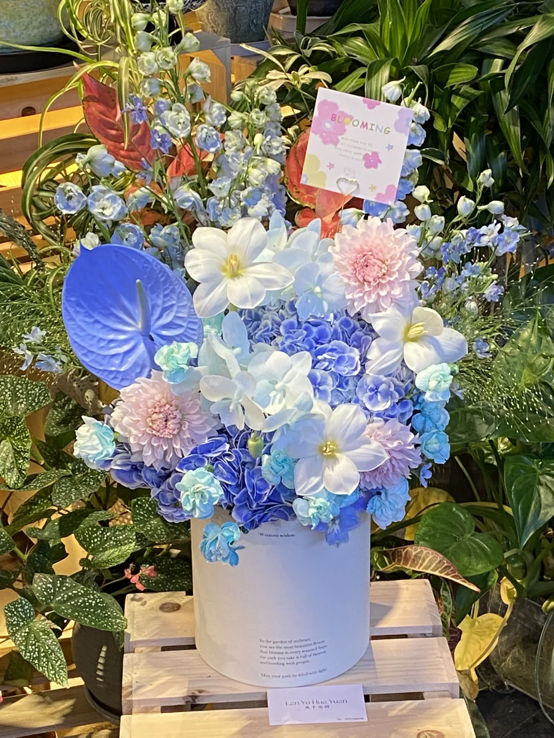青花瓷绣球抱抱桶｜｜蓝粉抱抱桶｜北京花店