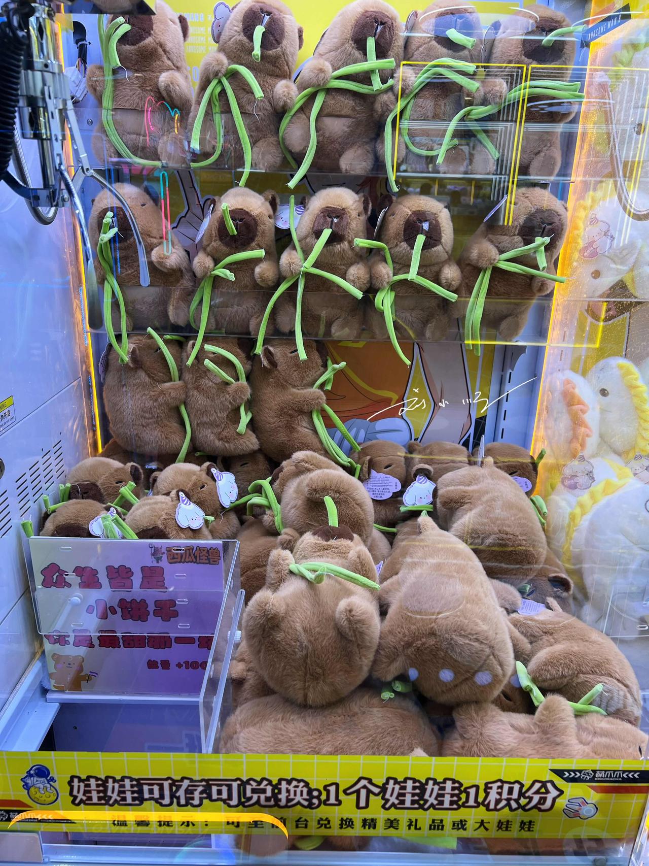 山东“特供”娃娃：吃豆橛子的卡皮巴拉。。[捂脸][捂脸]