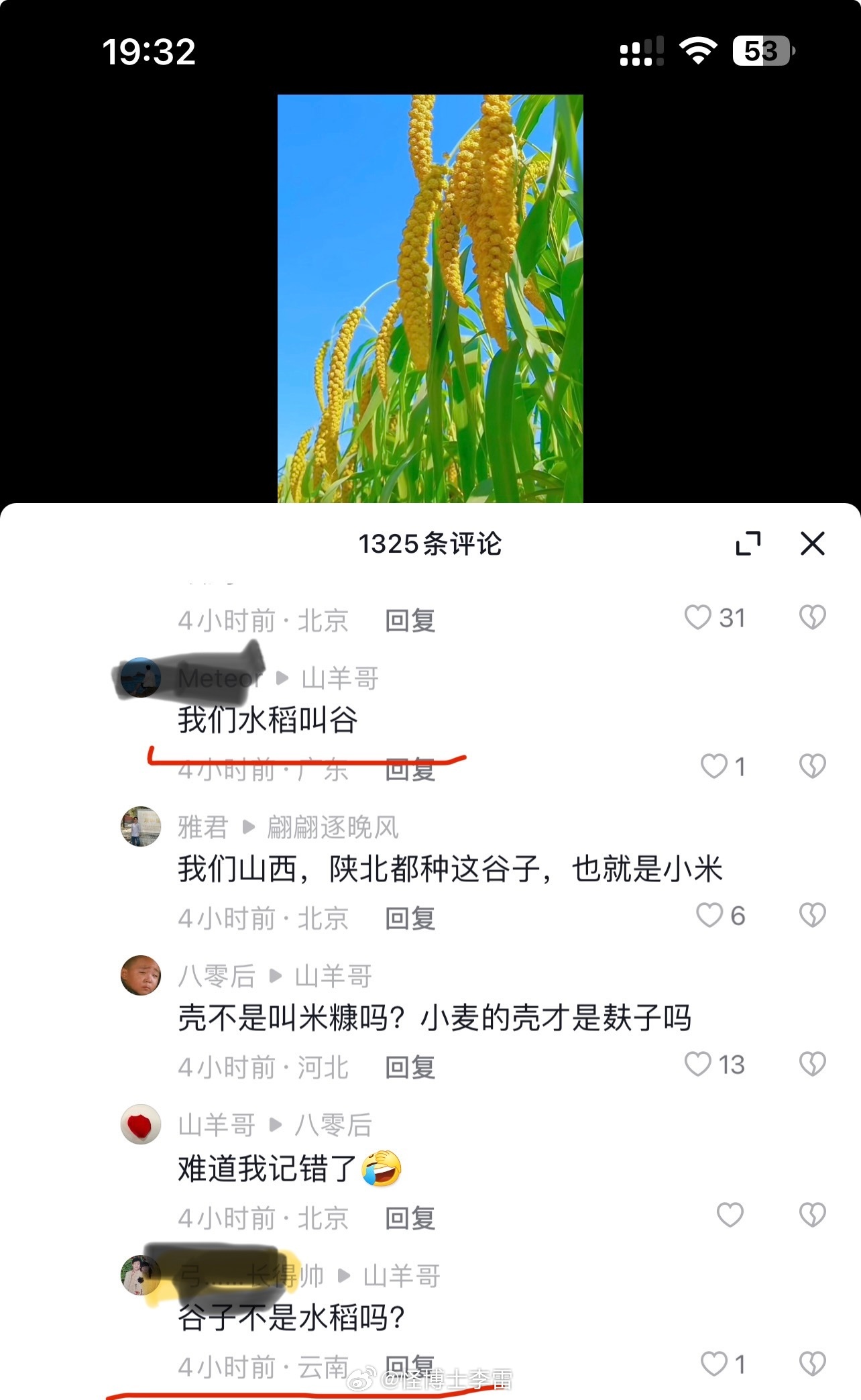 原来有的地方水稻叫谷[笑cry] ​​​