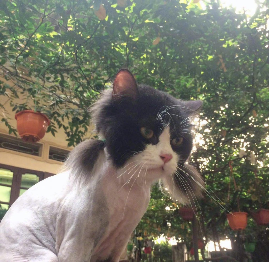 👧：不想再看见你，我已经在努力压制我的😠怒火了！