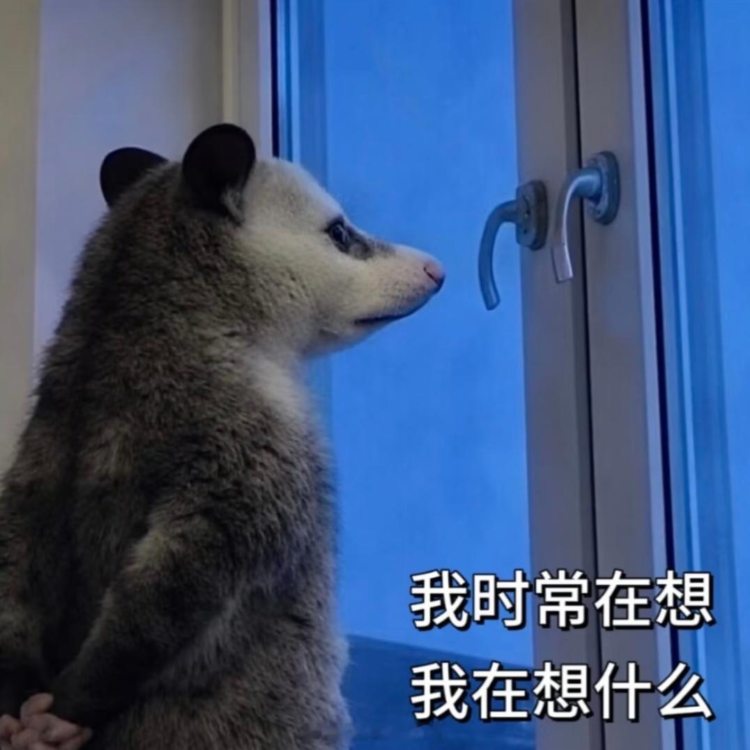 出来玩一圈我冒出了个荒唐的想法就是我在想我是不是可以试试去做导游…之所以说它荒唐