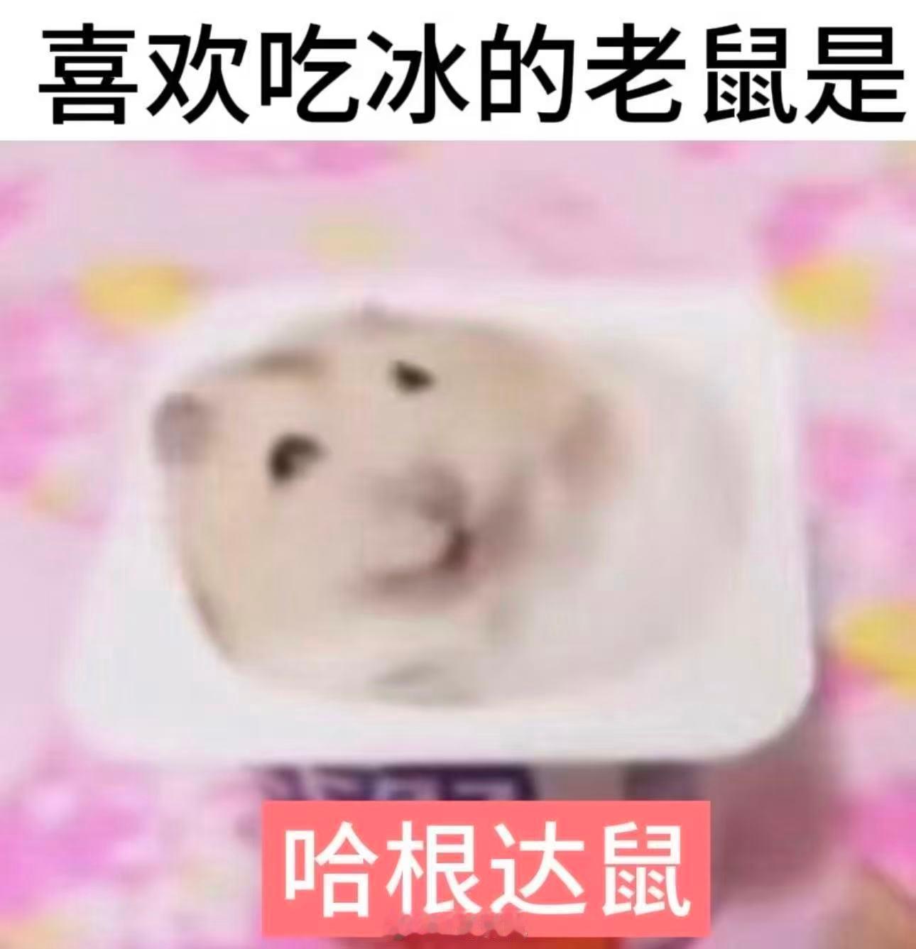 孩子们你们有推荐的追番小零食吗？？？我之前囤的小零食几乎全过期了 气煞我也 现在