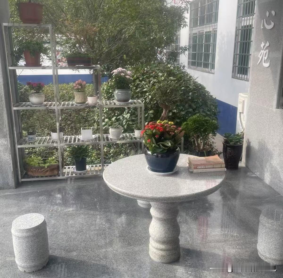 你们看这个小角落，多舒服！石桌石凳亮堂堂的，桌上摆着开得正艳的花，旁边还摞着几本