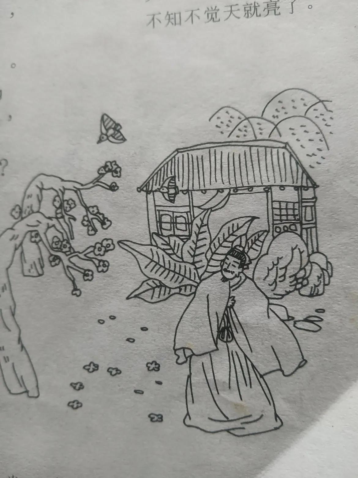 春眠不觉晓，处处闻啼鸟。夜来风雨声，花落知多少？这是唐诗：孟浩然作：真棒