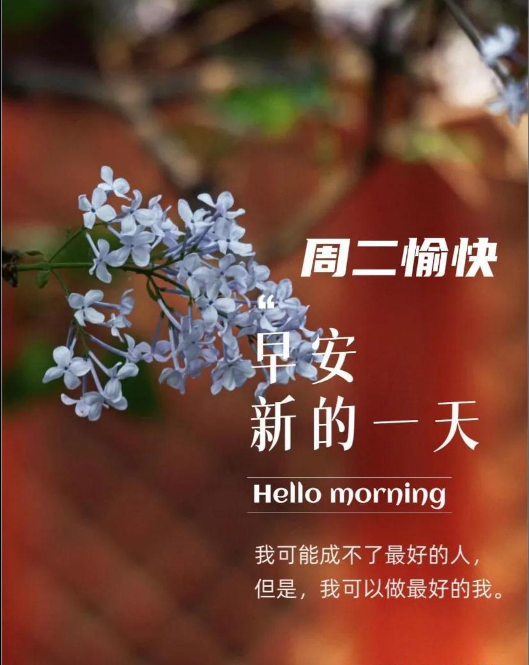 🌈晨光温柔，时光清澈。一句问候，一个微笑，都是点亮平凡日子的星光。愿你的一天，