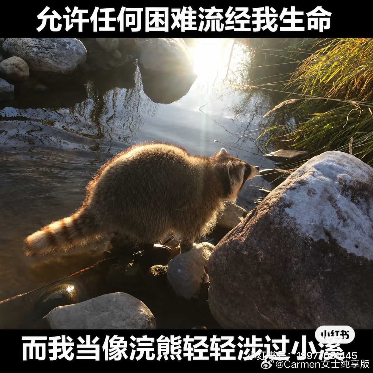 非常喜欢我的麦子熟了和坐公交车就能出去了这两句话。如果你相信你选择的道路是正确的
