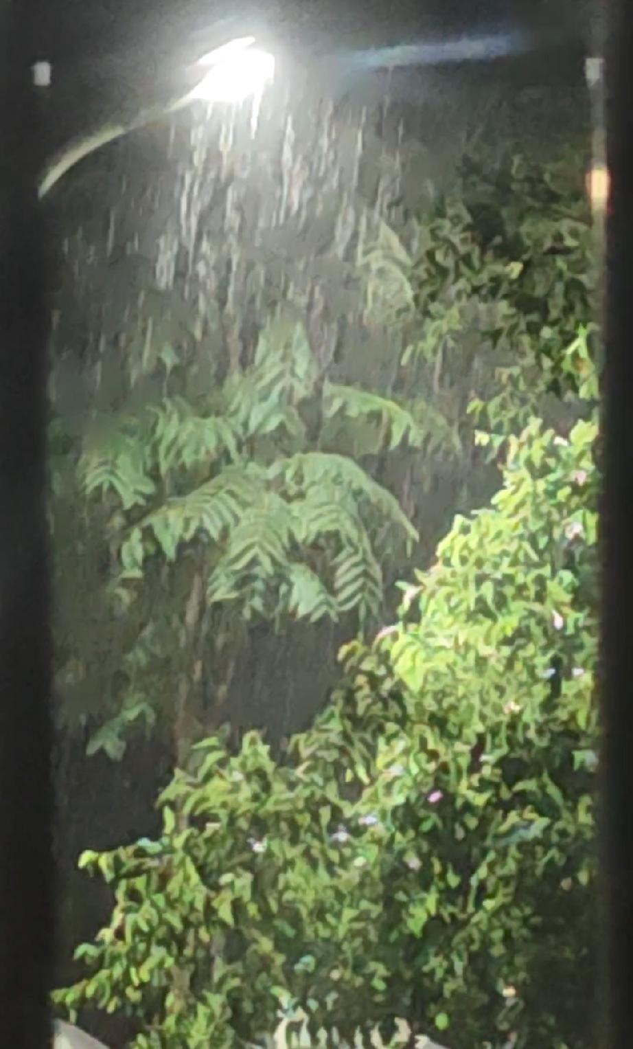 睌上9点多钟，预报今天有雷阵雨的唐山，终于降下大雨，虽然下午5点多钟稀稀落落的也
