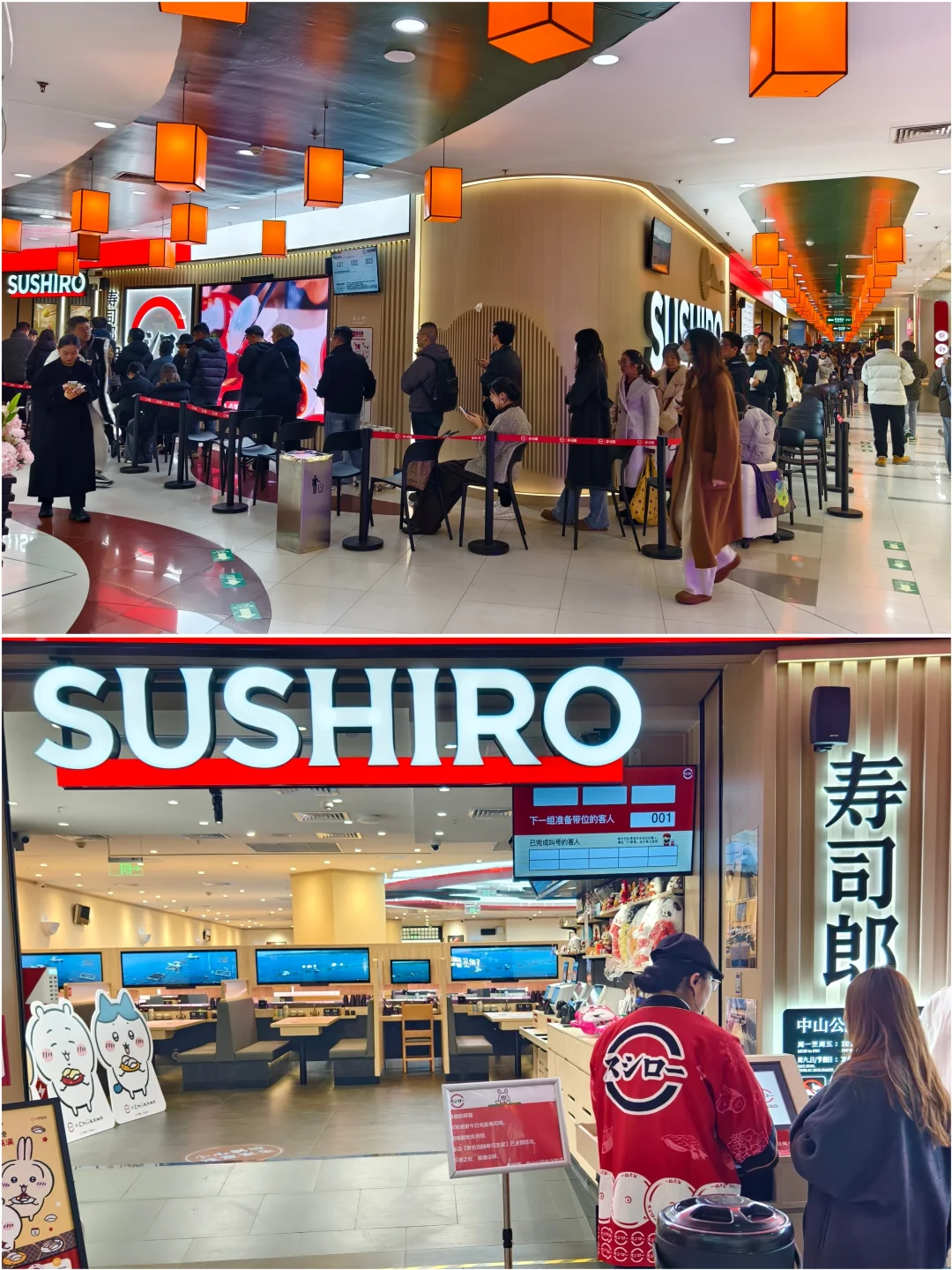 最近很火的寿司郎|总要来跟风一次吧？