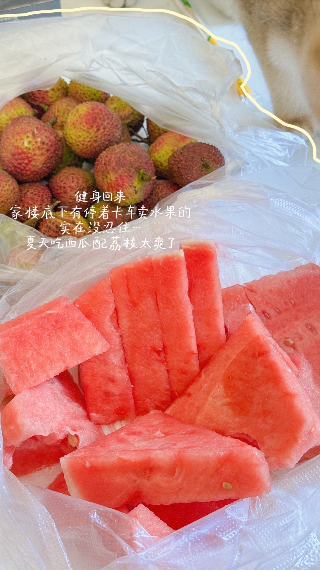 好久不见 我现在的生活正如这首歌般潺潺流动plog 生活碎片plog ​​​