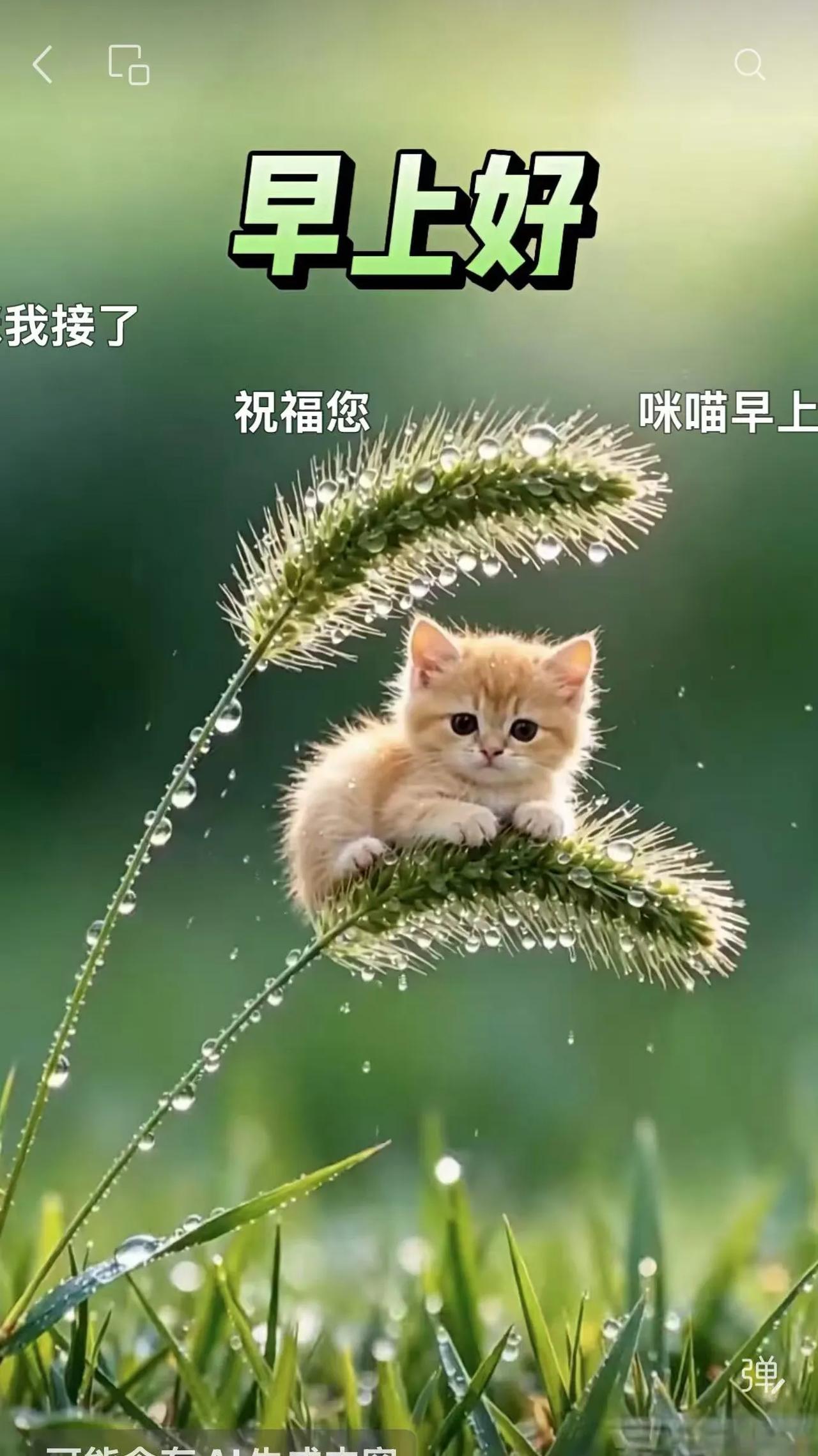 坐车过甬城，竟然找不到卖药的地方，不禁把这个城划为年轻年轻的市，我所在的城市药店