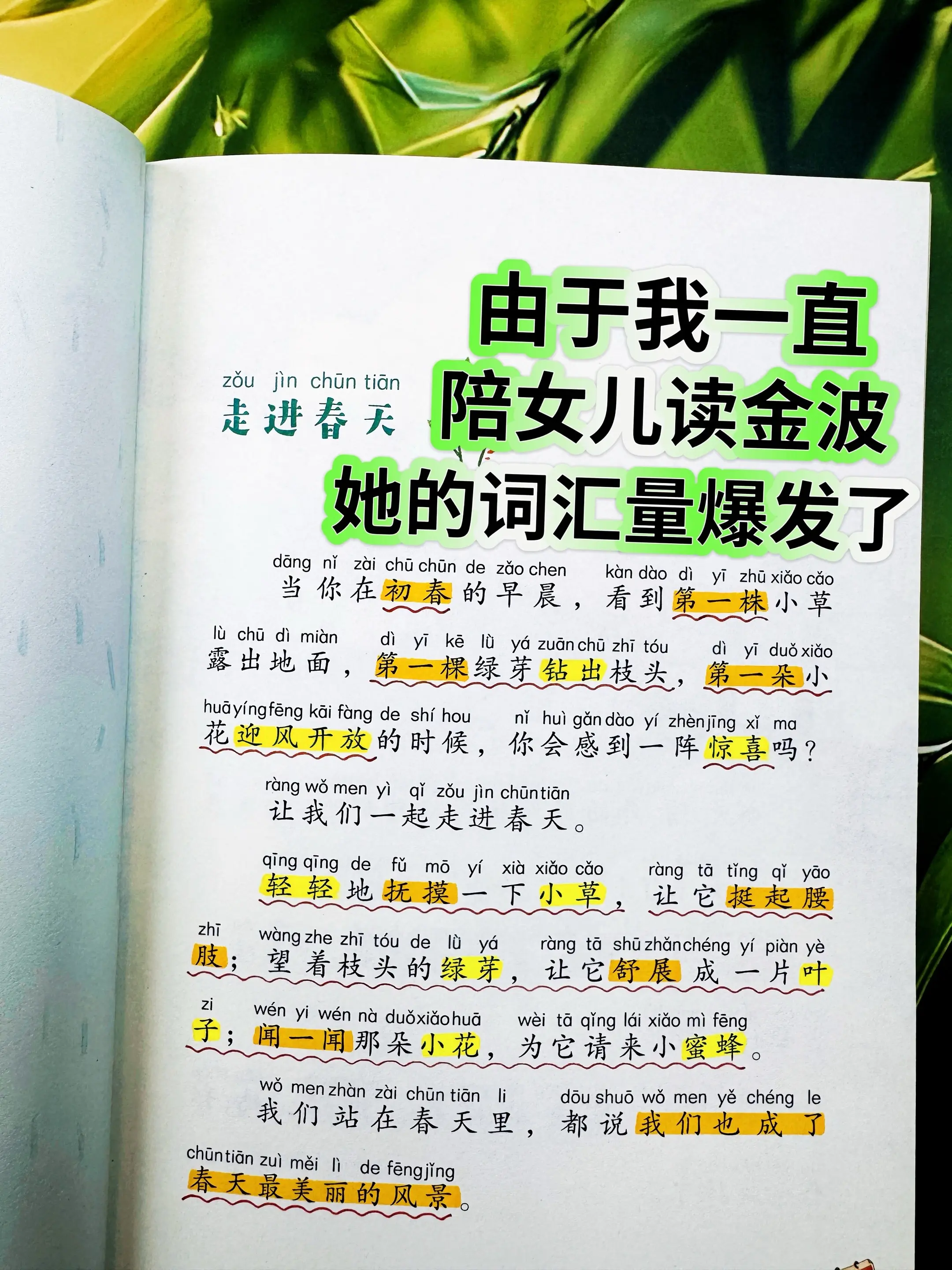 低年级要培养孩子的阅读兴趣和自主阅读能力。➡️这套《金波四季美文》真的...