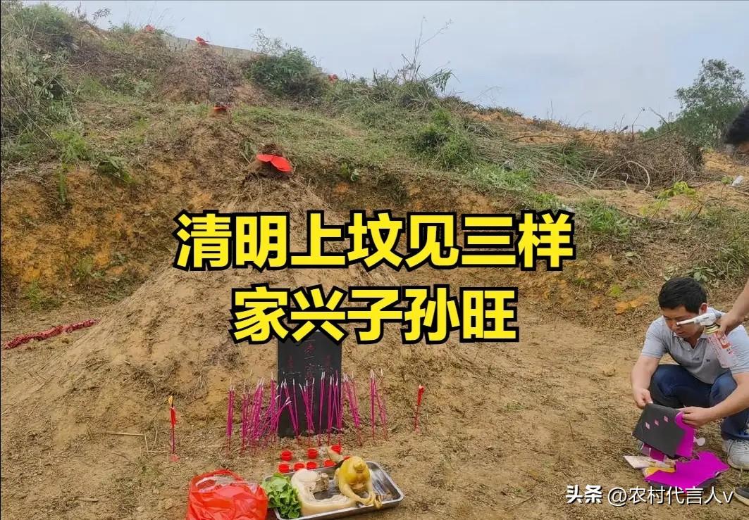 马上清明，“清明上坟见三样，家兴子孙旺”，清明上坟要带什么？
 
清明上坟，除了