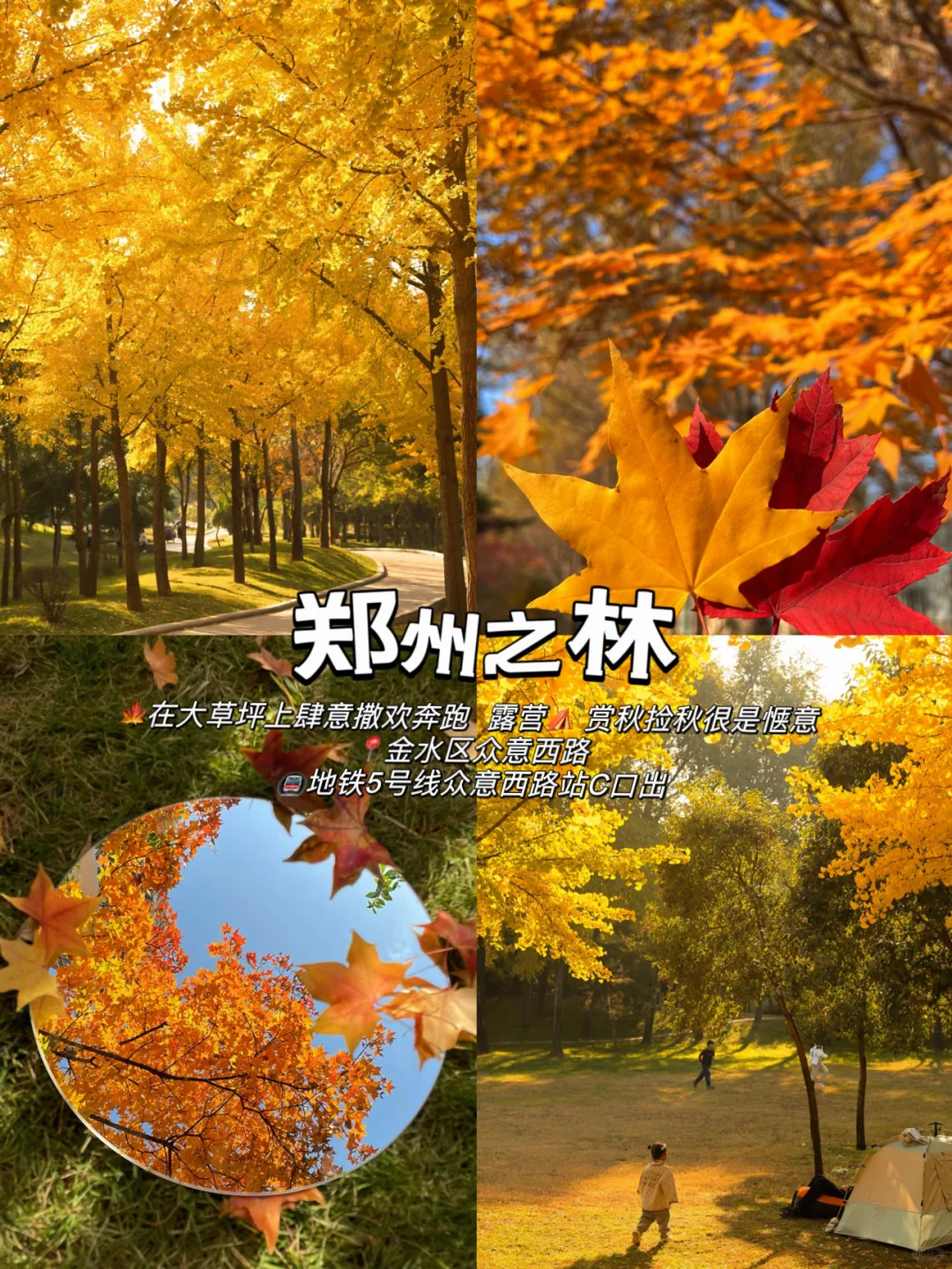 郑州 地铁直达十大免费赏秋胜地！你想和谁去