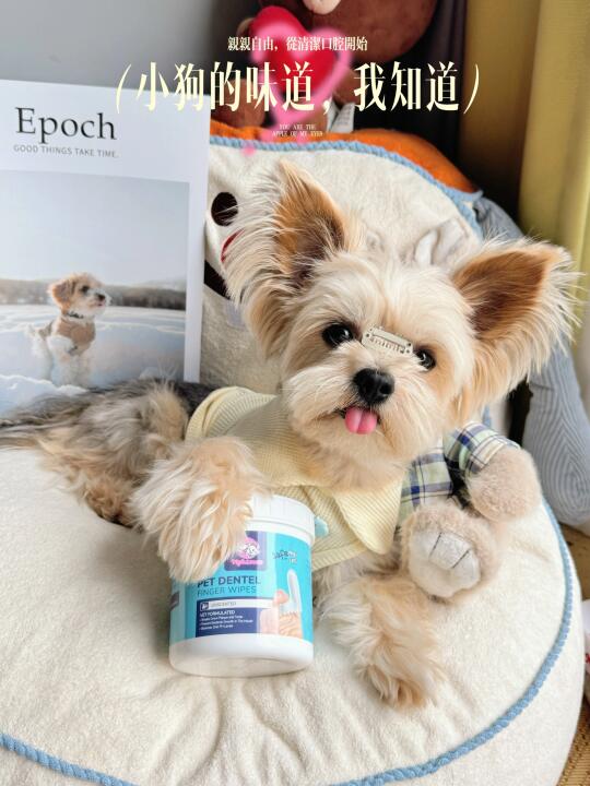 🫦男明星口腔护理后，爱上了拍吻戏～