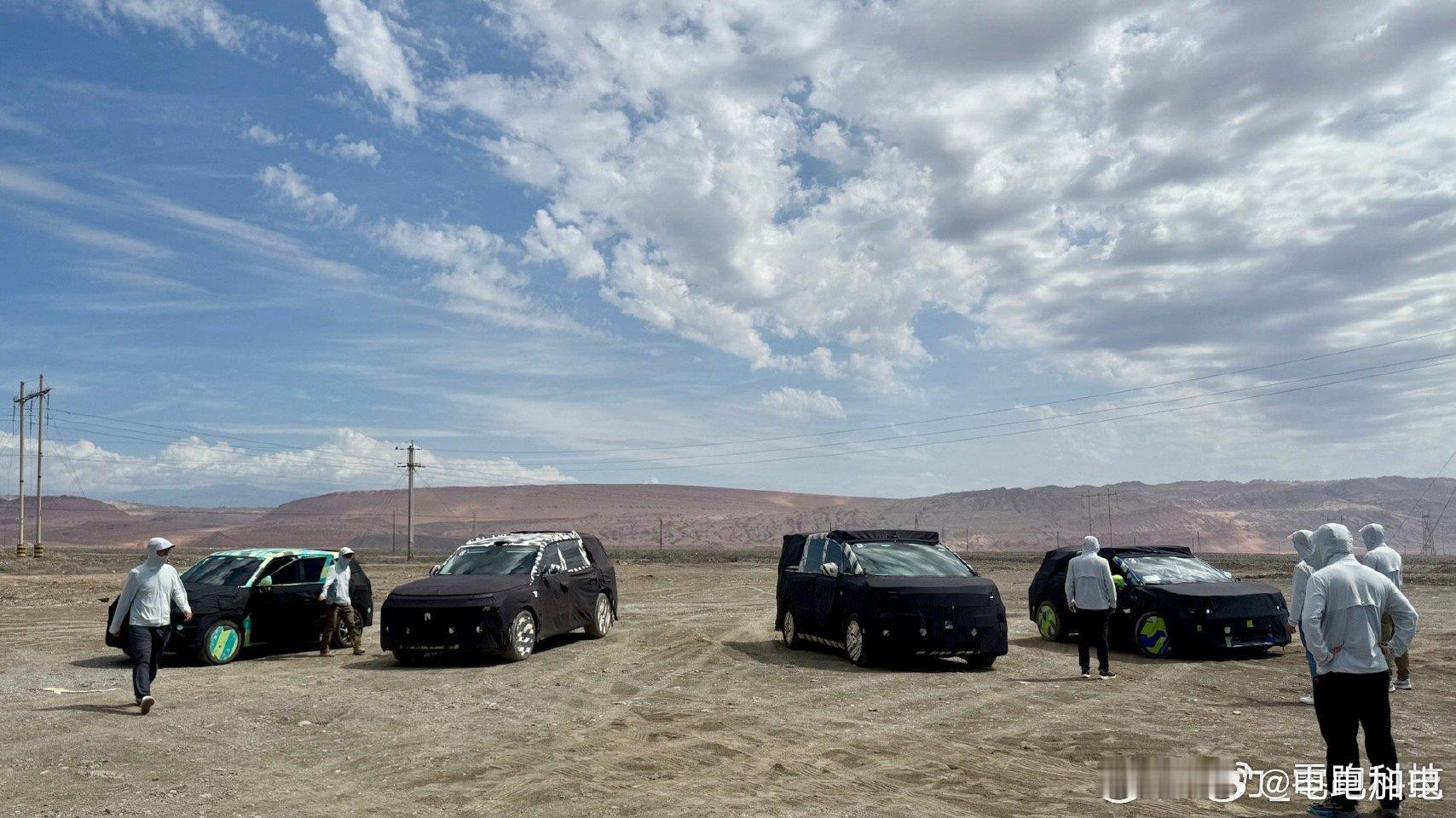零跑这是藏了多少新车，从左向右个人猜测：A10【A0 级SUV】、D21【全尺寸