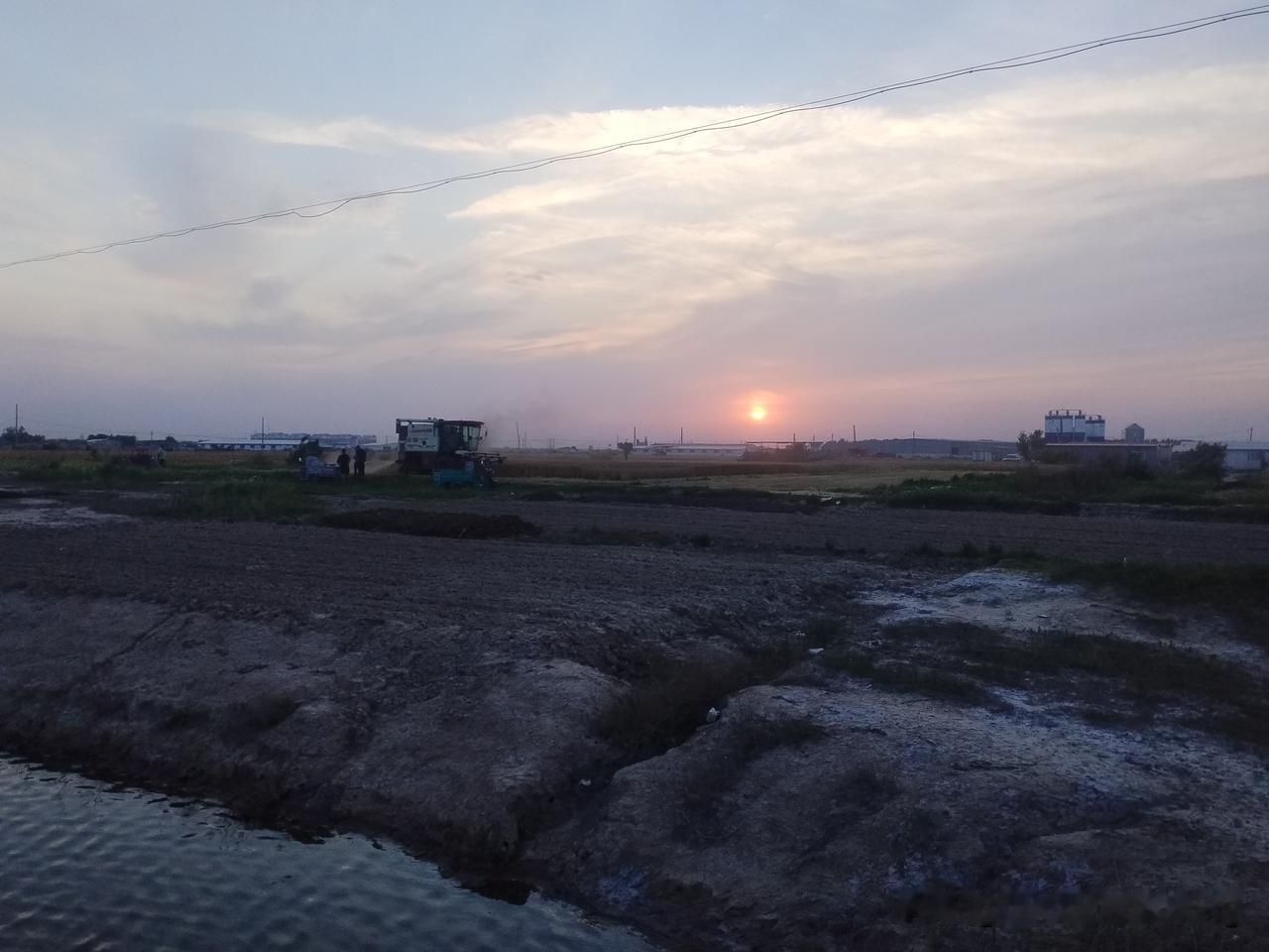 众友友晚上好！
夕阳西下风光好，收割机在旱碱冬小麦地里收割忙，一趟一趟穿梭，收割