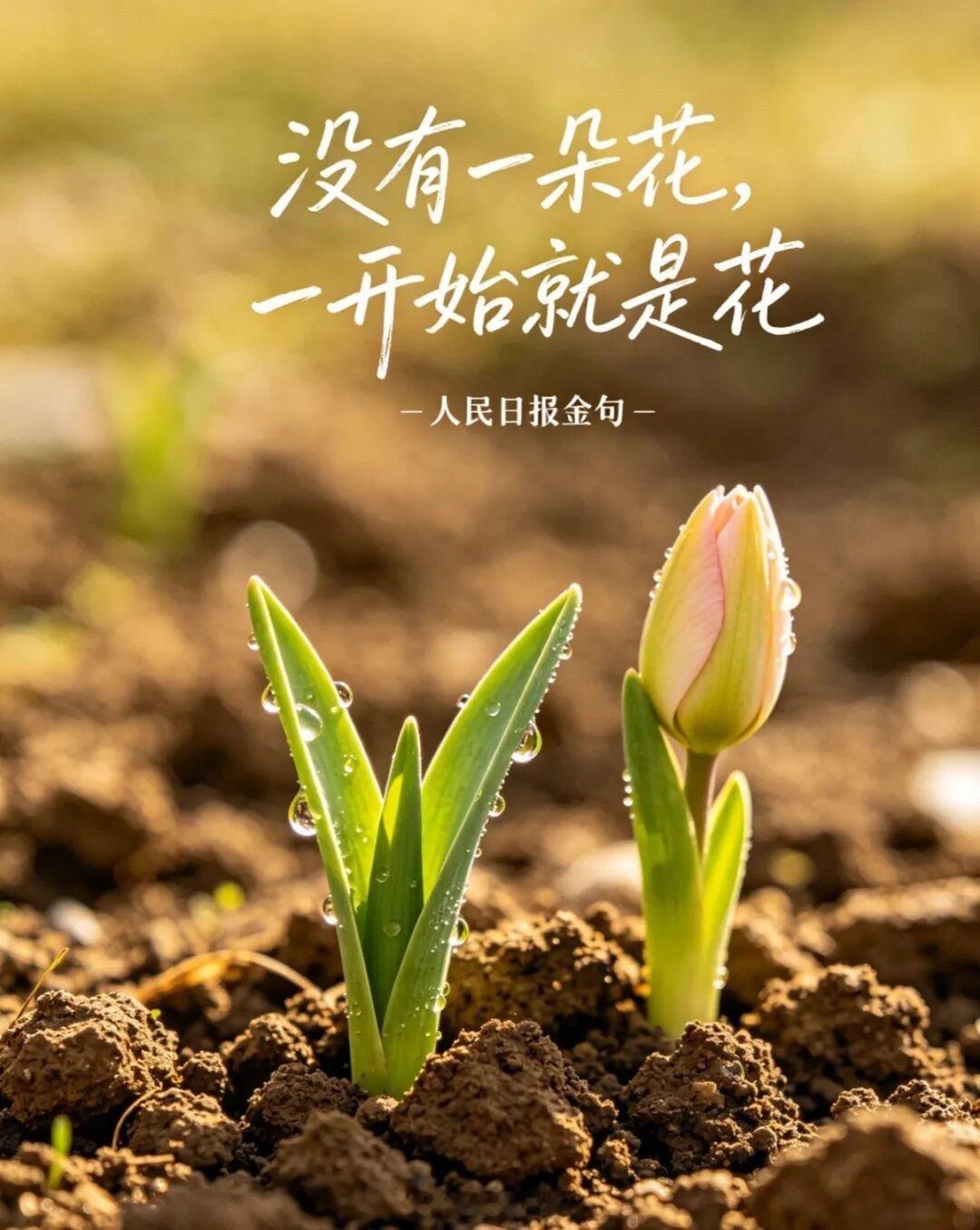✊人生有个定律：越行动的人机会越多越犹豫的人错失越多越敢拼的人收获越满越退缩的人