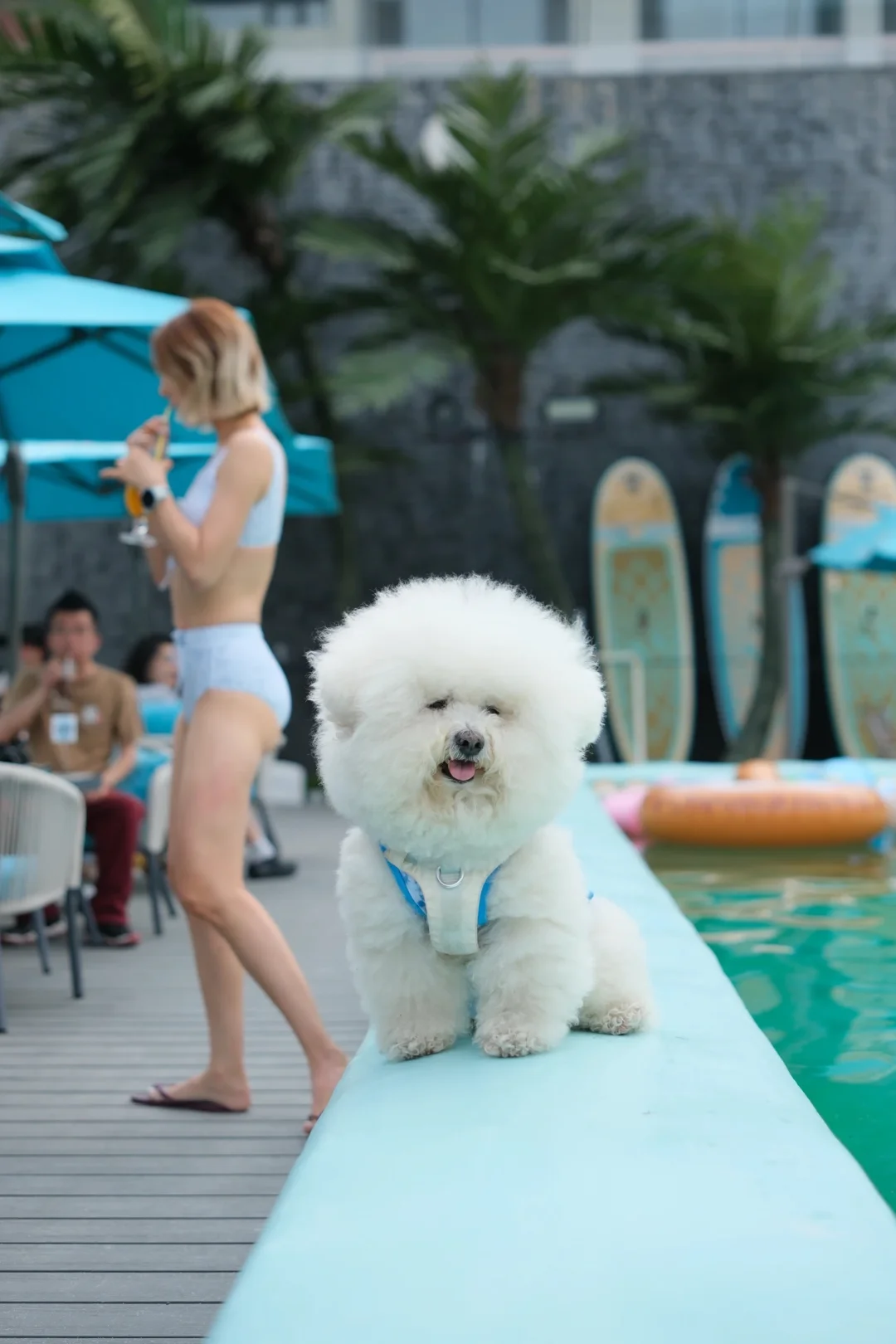 假装在海边🏖️👙🌊🌴