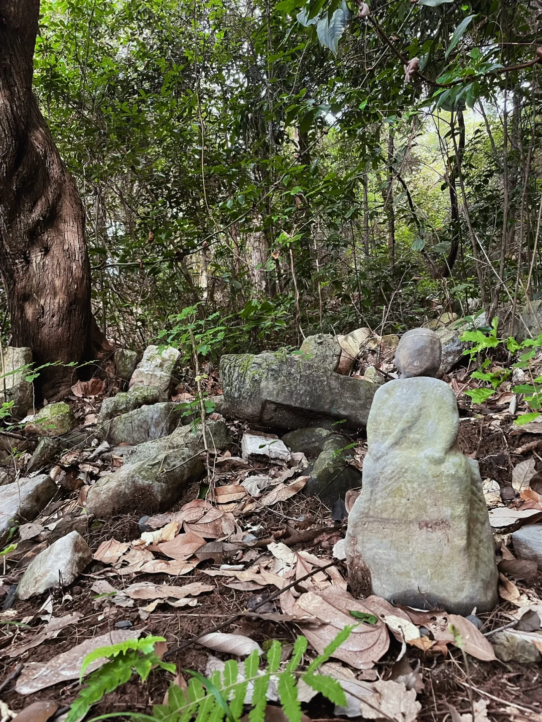 永州·鬼崽岭
