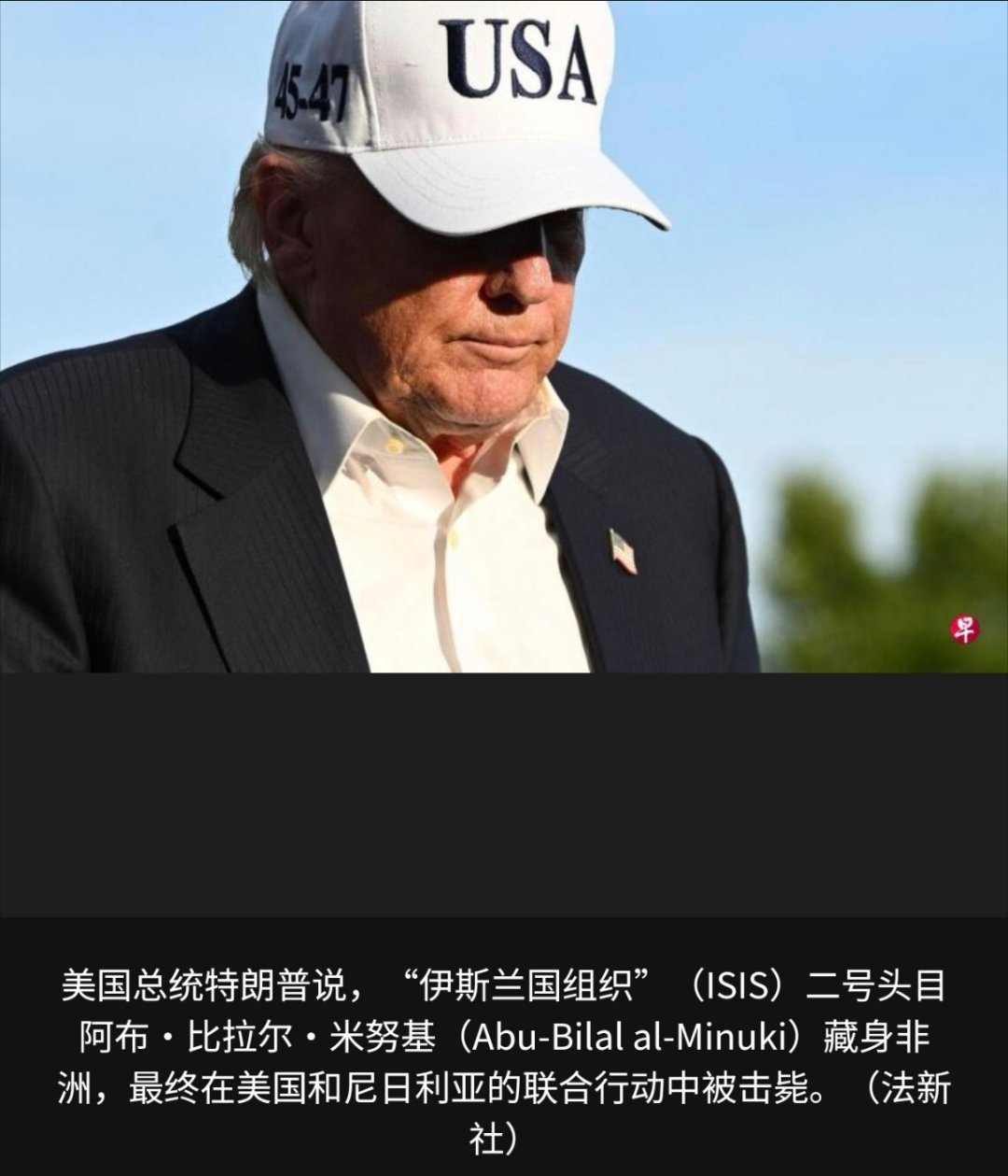 特朗普称伊斯兰国二号头目被清除美国总统特朗普说，“伊斯兰国组织”（ISIS）二号