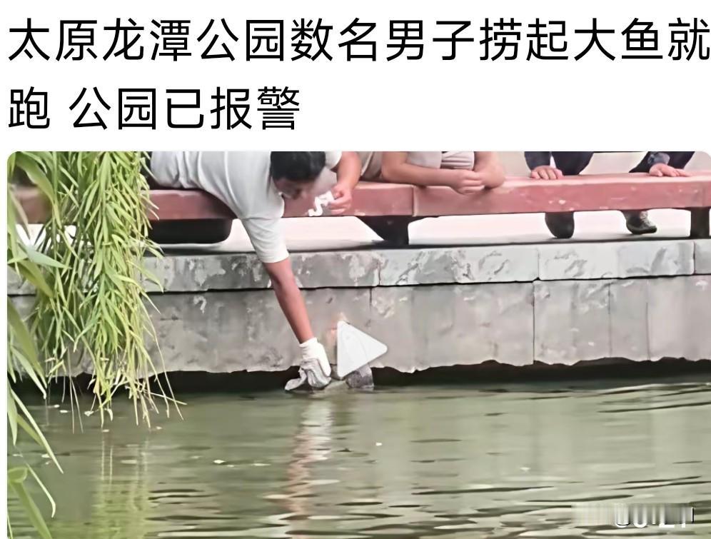 太原龙潭公园有人伸手捞鱼，公园已经报警了。
不要把公共资源占为己有，公园是一个城