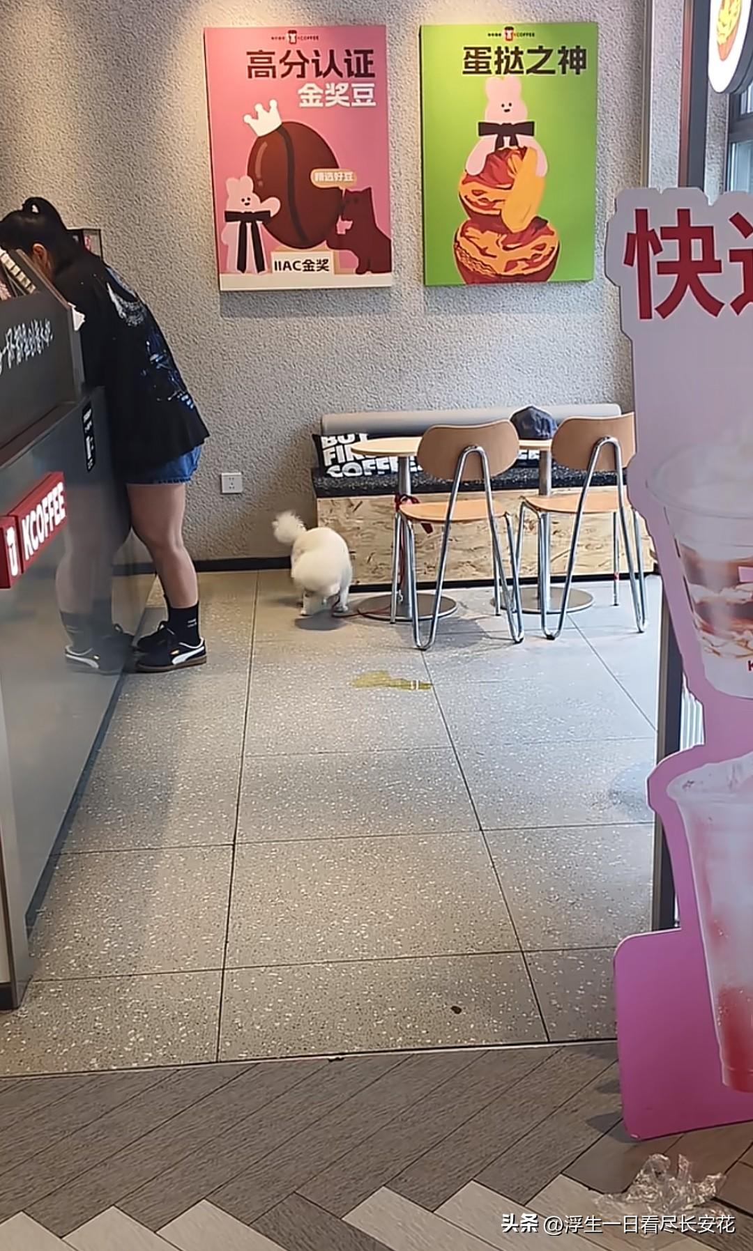狗进店，这次轮到浙江台州三门西区星悦广场的一家知名快餐店了。一只被牵着的白色小狗