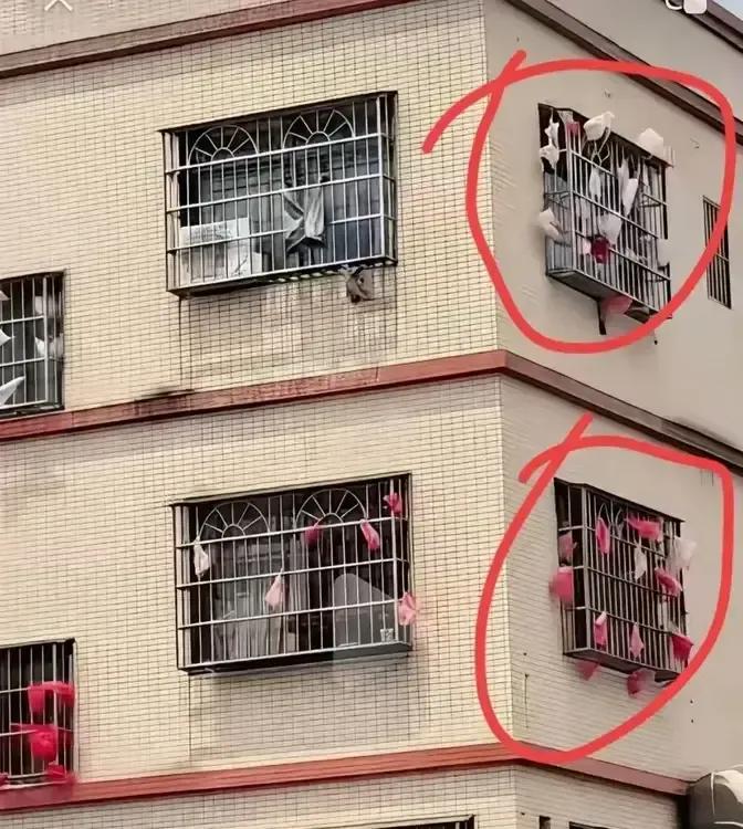 看不懂，这是干啥用的？来个高手解释一下！