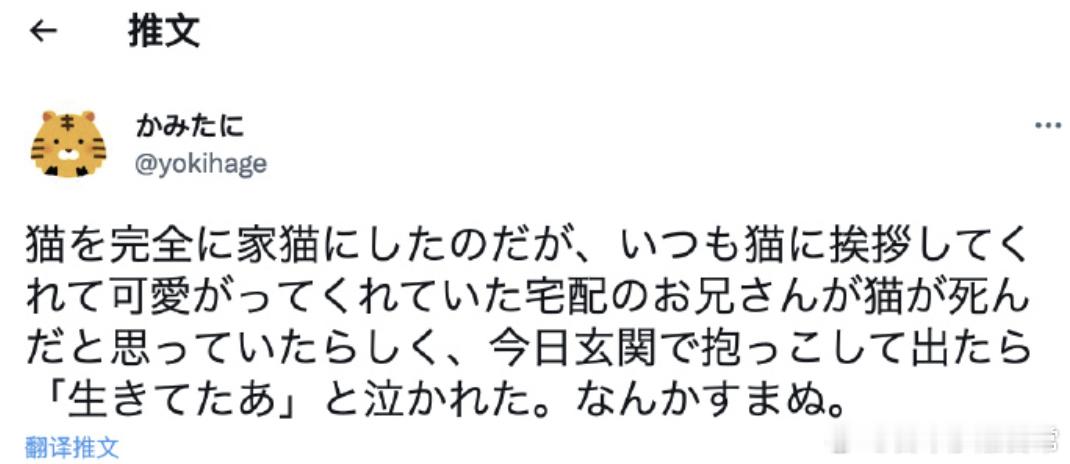 把一只流浪猫完全收养成了家猫。结果一直跟猫猫打招呼，疼爱猫猫的快递小哥以为猫猫去